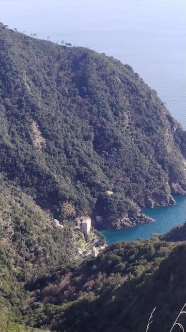 Casa Al Mare A Recco 아파트 외부 사진