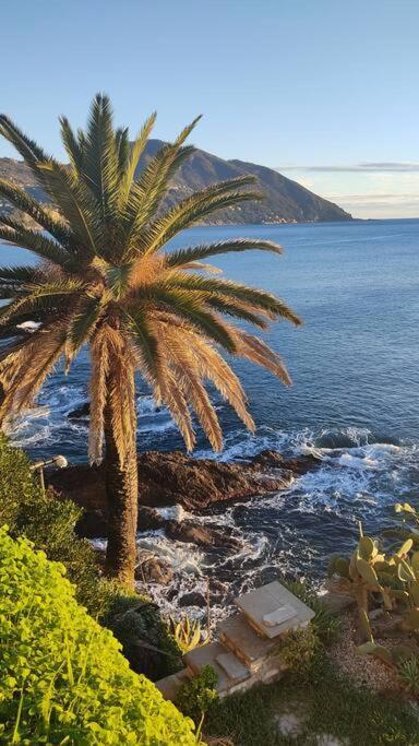 Casa Al Mare A Recco 아파트 외부 사진