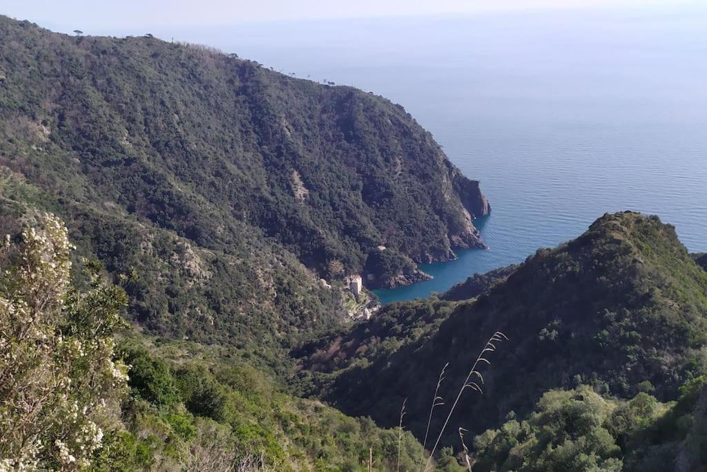 Casa Al Mare A Recco 아파트 외부 사진